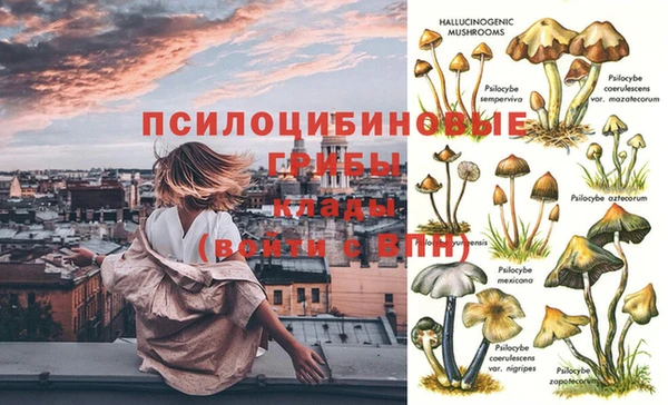 трава Белоозёрский